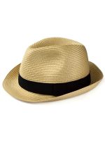 Mens' Panama Hat